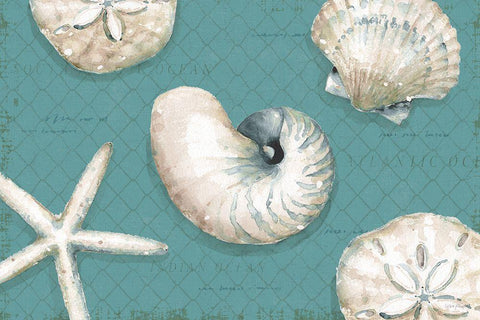 Ocean View I on Teal Black Ornate Wood Framed Art Print with Double Matting by Audit, Lisa