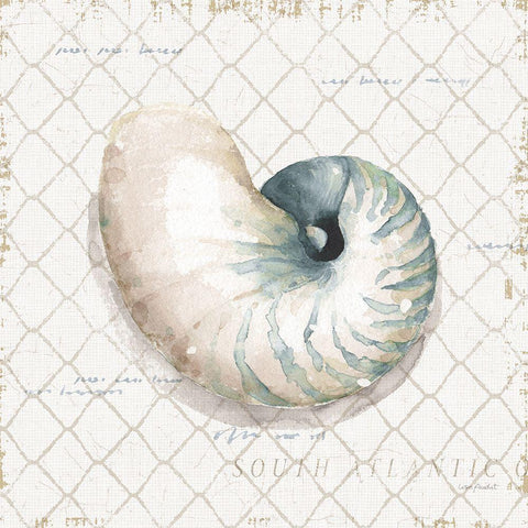 Ocean View IV White Modern Wood Framed Art Print by Audit, Lisa