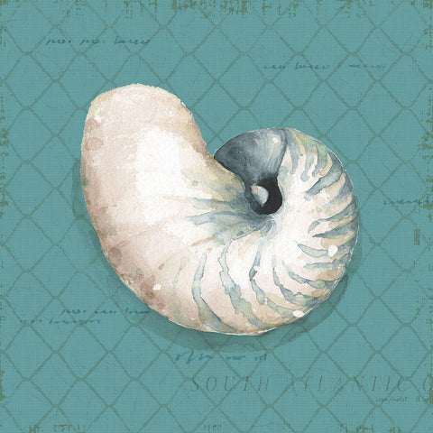 Ocean View IV on Teal White Modern Wood Framed Art Print by Audit, Lisa