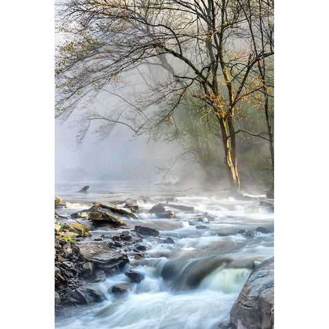 Crisp Mist Black Modern Wood Framed Art Print with Double Matting by Head, Danny