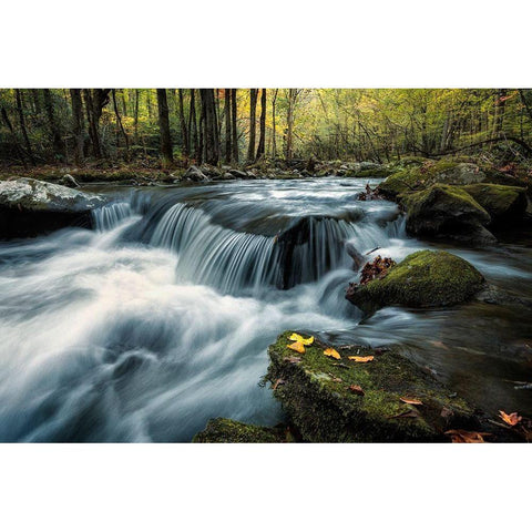 Last Light at Tremont White Modern Wood Framed Art Print by Head, Danny