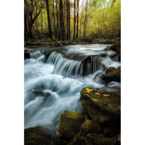 Autumn Trio White Modern Wood Framed Art Print by Head, Danny