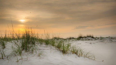 Gulf Sunrise White Modern Wood Framed Art Print with Double Matting by Head, Danny