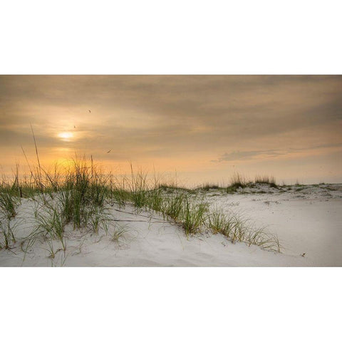 Gulf Sunrise White Modern Wood Framed Art Print by Head, Danny