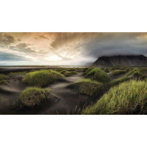 Black Dunes White Modern Wood Framed Art Print by Head, Danny