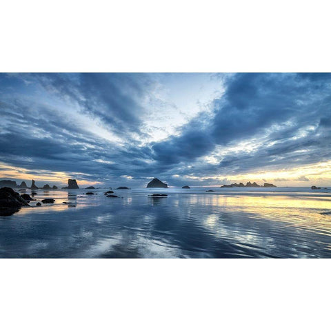 Reflections White Modern Wood Framed Art Print by Head, Danny