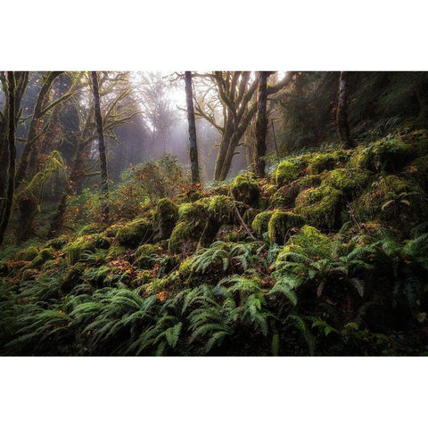 Fern Bank Gold Ornate Wood Framed Art Print with Double Matting by Head, Danny