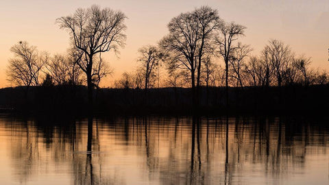 Island Reflections Black Ornate Wood Framed Art Print with Double Matting by Head, Danny