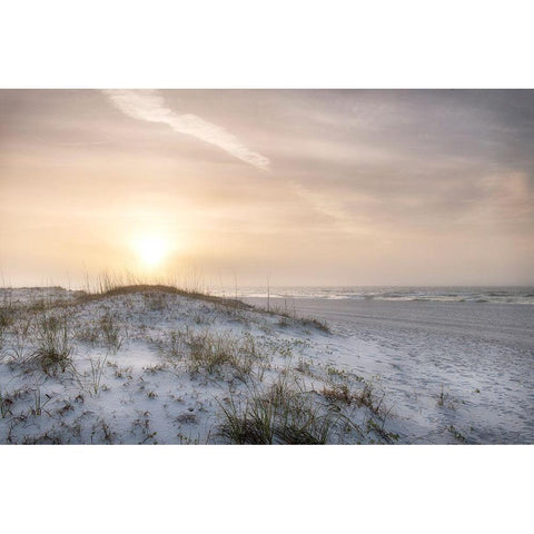 Foggy Dunes White Modern Wood Framed Art Print by Head, Danny