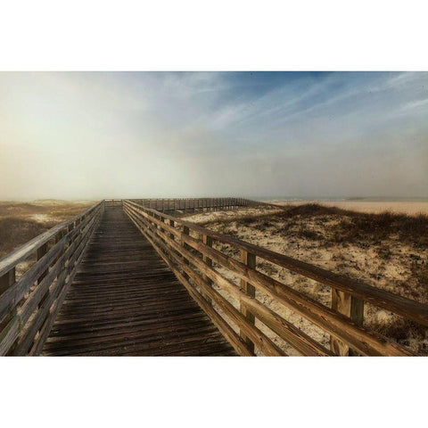 Boardwalk I Black Modern Wood Framed Art Print with Double Matting by Head, Danny