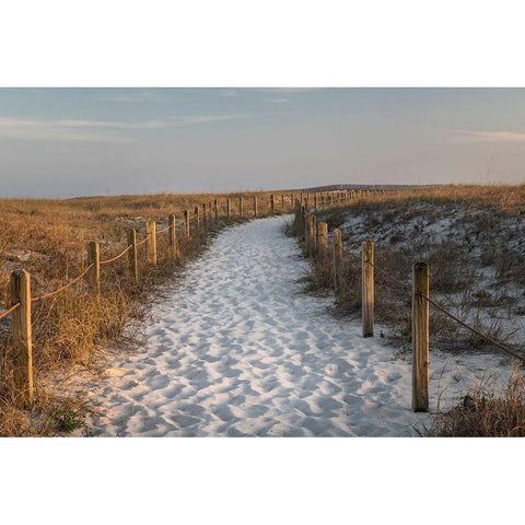 Beach Tracks Gold Ornate Wood Framed Art Print with Double Matting by Head, Danny