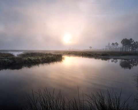 Fog on the Bayou Black Ornate Wood Framed Art Print with Double Matting by Head, Danny