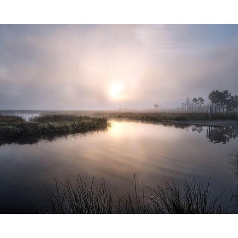 Fog on the Bayou Black Modern Wood Framed Art Print by Head, Danny