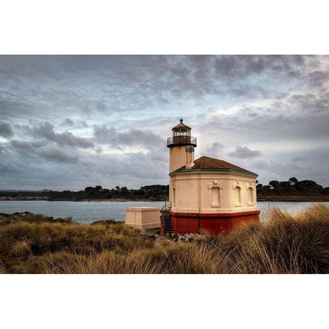 Coquilla Light White Modern Wood Framed Art Print by Head, Danny