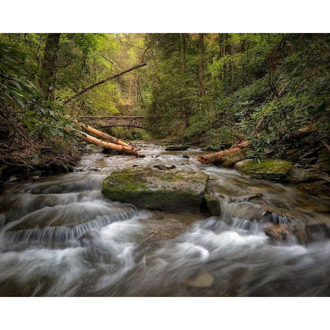 Spring Colors Black Modern Wood Framed Art Print with Double Matting by Head, Danny