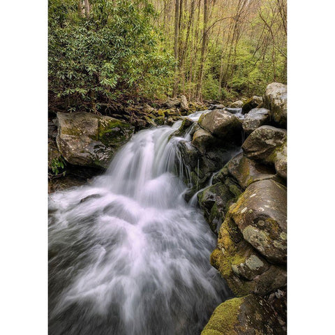 Spill Over Black Modern Wood Framed Art Print with Double Matting by Head, Danny
