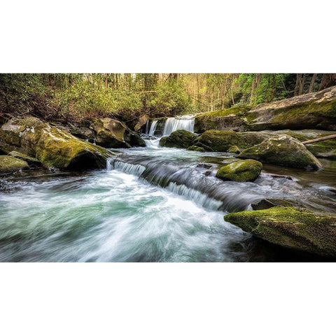 Mountain Creek White Modern Wood Framed Art Print by Head, Danny