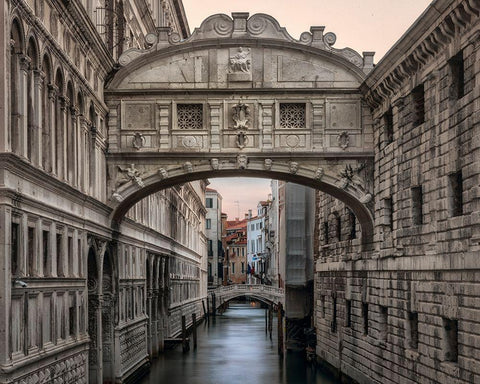 Iconic Venice White Modern Wood Framed Art Print with Double Matting by Head, Danny