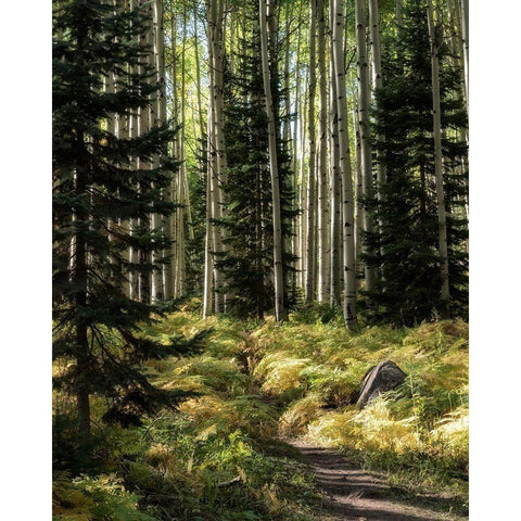 High Country Black Modern Wood Framed Art Print with Double Matting by Head, Danny