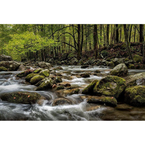 Big Creek Black Modern Wood Framed Art Print by Head, Danny
