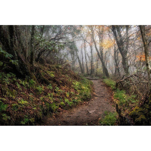 Long Walk Gold Ornate Wood Framed Art Print with Double Matting by Head, Danny