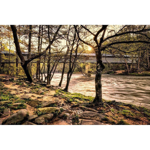 Swann Bridge I Black Modern Wood Framed Art Print with Double Matting by Head, Danny