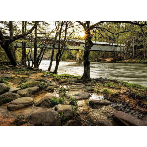 Swann Bridge II Black Modern Wood Framed Art Print with Double Matting by Head, Danny