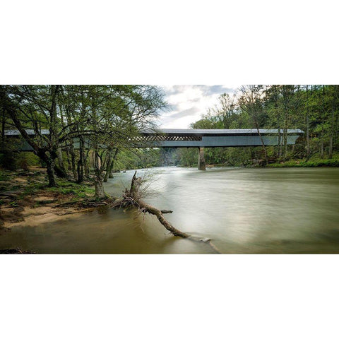 Swann Bridge VII White Modern Wood Framed Art Print by Head, Danny