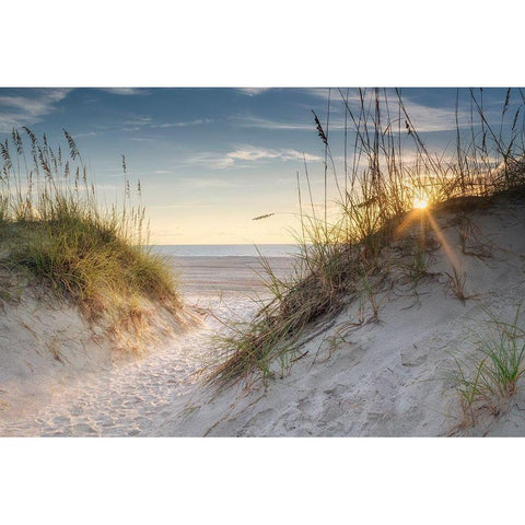 The Dunes White Modern Wood Framed Art Print by Head, Danny