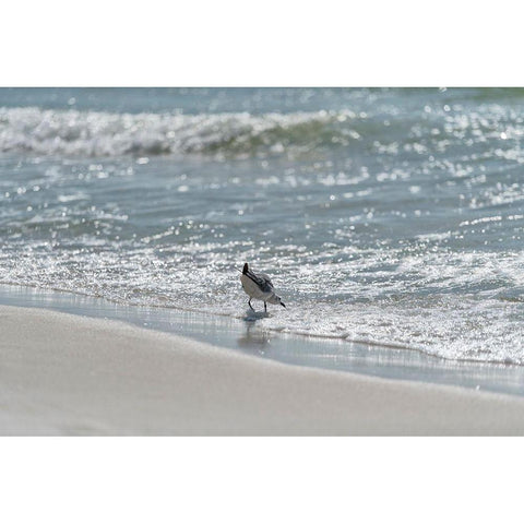 Wading I White Modern Wood Framed Art Print by Head, Danny