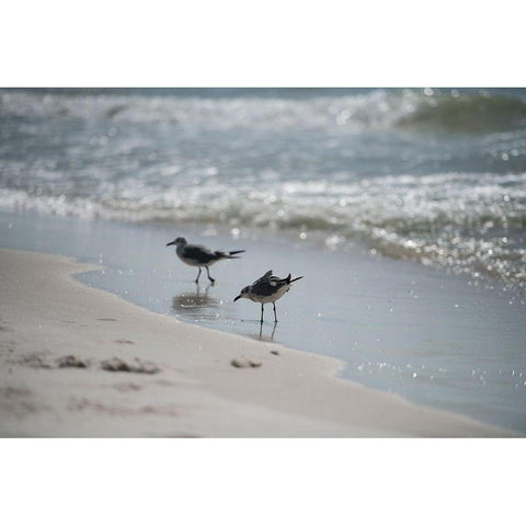 Wading II Black Modern Wood Framed Art Print with Double Matting by Head, Danny