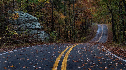 Autumn Drive III Black Ornate Wood Framed Art Print with Double Matting by Head, Danny