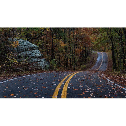 Autumn Drive III Black Modern Wood Framed Art Print by Head, Danny