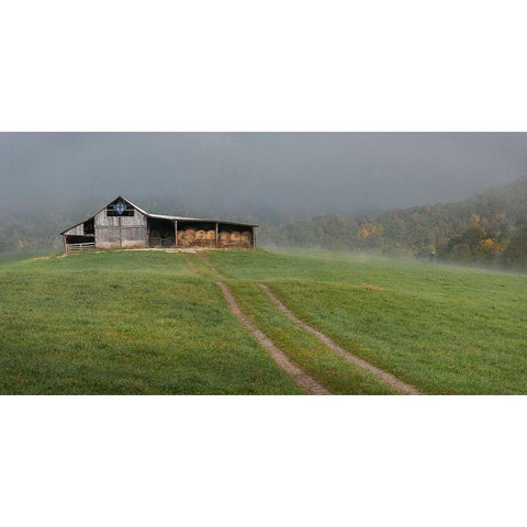 Fog at the Farm Gold Ornate Wood Framed Art Print with Double Matting by Head, Danny