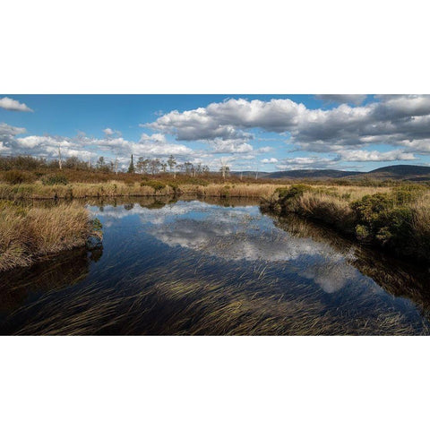 Blackwater Creek White Modern Wood Framed Art Print by Head, Danny