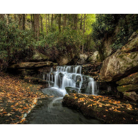 Lower Elakala Falls White Modern Wood Framed Art Print by Head, Danny