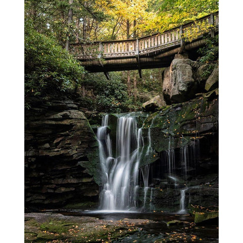 Elakala Falls I Black Modern Wood Framed Art Print with Double Matting by Head, Danny