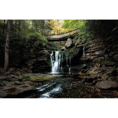 Elakala Falls II White Modern Wood Framed Art Print by Head, Danny