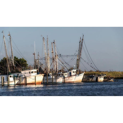 Waiting to Fish White Modern Wood Framed Art Print by Head, Danny