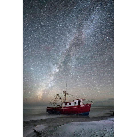 At Rest White Modern Wood Framed Art Print by Head, Danny