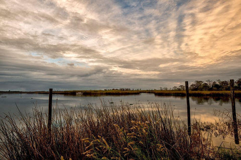 Lagoon Sunset White Modern Wood Framed Art Print with Double Matting by Head, Danny