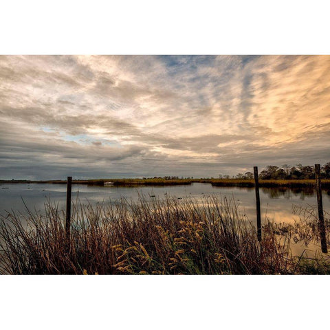 Lagoon Sunset Gold Ornate Wood Framed Art Print with Double Matting by Head, Danny
