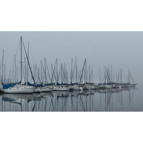 Foggy Marina II White Modern Wood Framed Art Print by Head, Danny