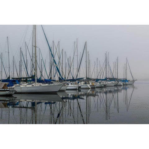 Foggy Marina II Black Modern Wood Framed Art Print with Double Matting by Head, Danny