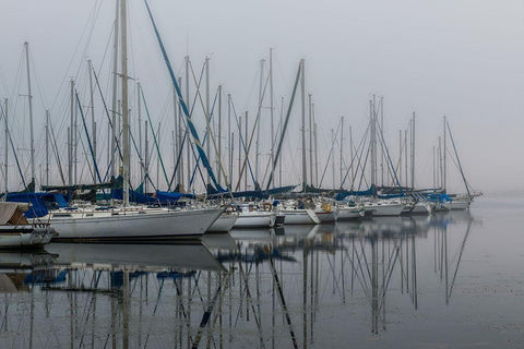 Foggy Marina II Black Ornate Wood Framed Art Print with Double Matting by Head, Danny