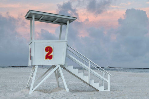 Standing Guard III White Modern Wood Framed Art Print with Double Matting by Head, Danny