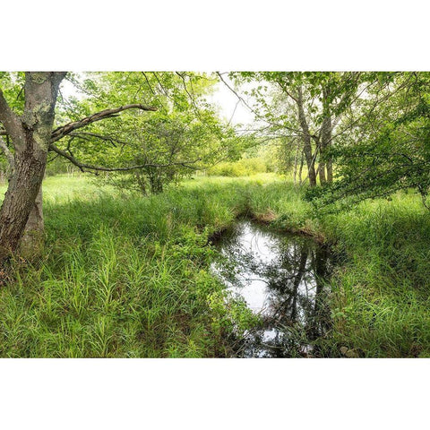 Reflecting Pool Black Modern Wood Framed Art Print with Double Matting by Head, Danny