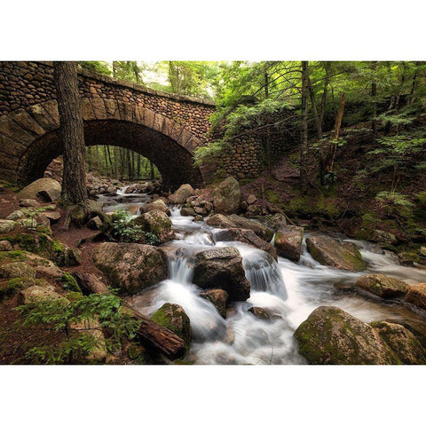 Stone Bridge I Gold Ornate Wood Framed Art Print with Double Matting by Head, Danny