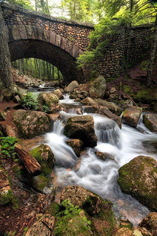 Stone Bridge II White Modern Wood Framed Art Print with Double Matting by Head, Danny