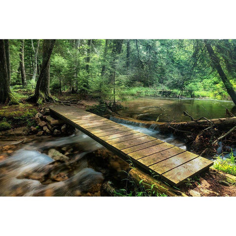 The Crossing Black Modern Wood Framed Art Print by Head, Danny